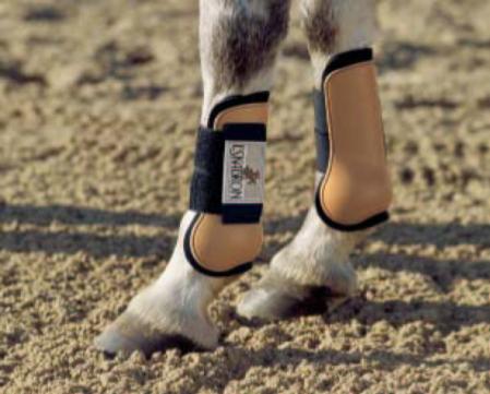 Tendon Protection Boots - pony