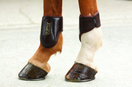 Leather Fetlock boots - back